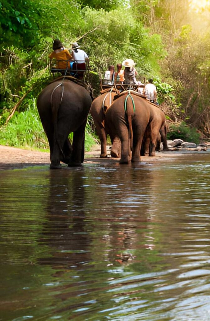 Chiang-Mai-Elephant-Sanctuary