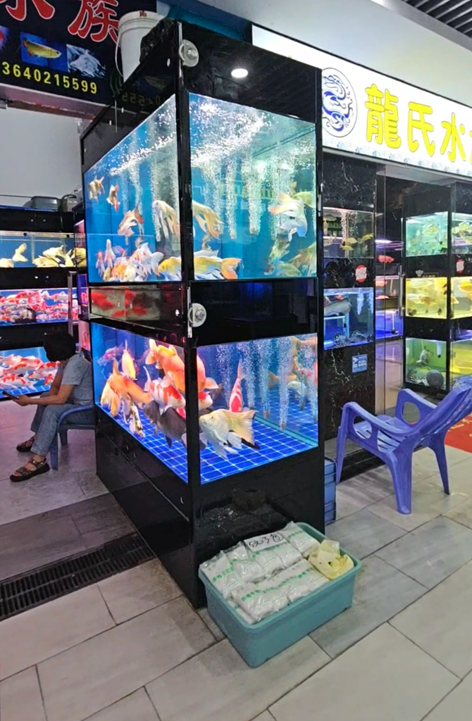 Guangzhou-Market-Tour